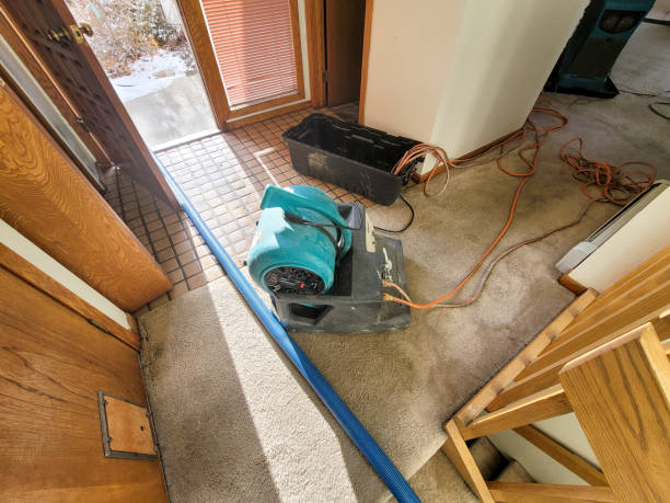 Best Carpet water damage restoration  in Dunnigan, CA