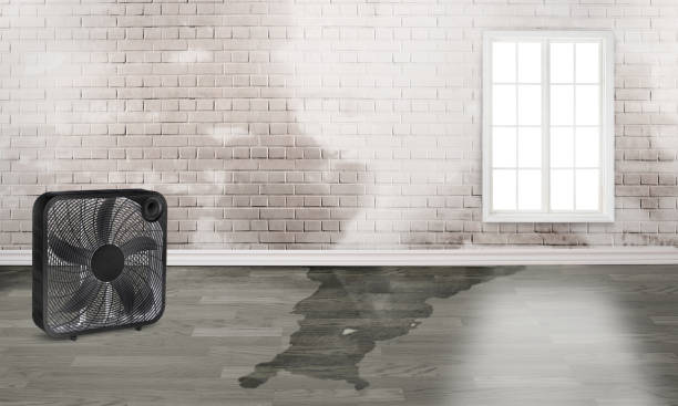 Best Fire Damage Restoration  in Dunnigan, CA