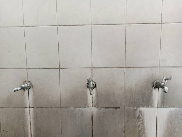 Best Ceiling water damage repair  in Dunnigan, CA