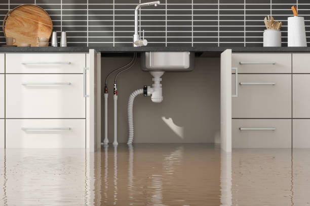 Best Water damage restoration near me  in Dunnigan, CA