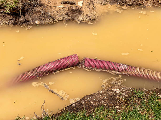 Best Emergency water extraction  in Dunnigan, CA