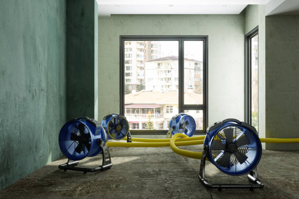 Local water damage restoration in Dunnigan, CA