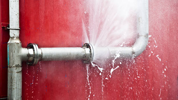 Best Local water damage restoration  in Dunnigan, CA
