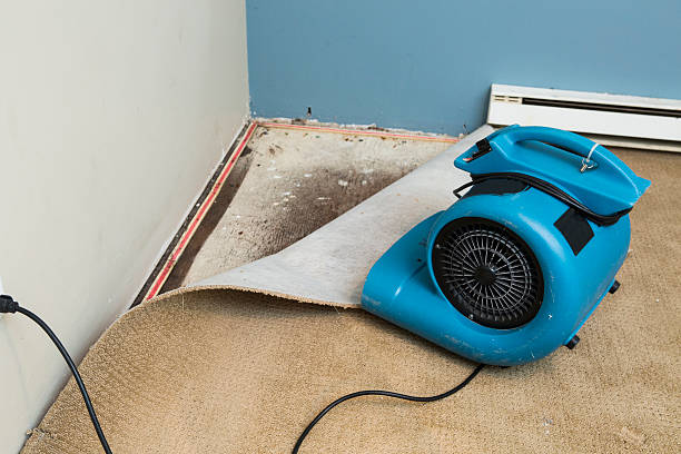 Best Flood damage cleanup  in Dunnigan, CA